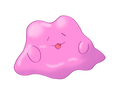 Ditto