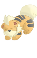 Growlithe Sleep