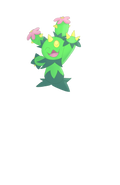 Maractus