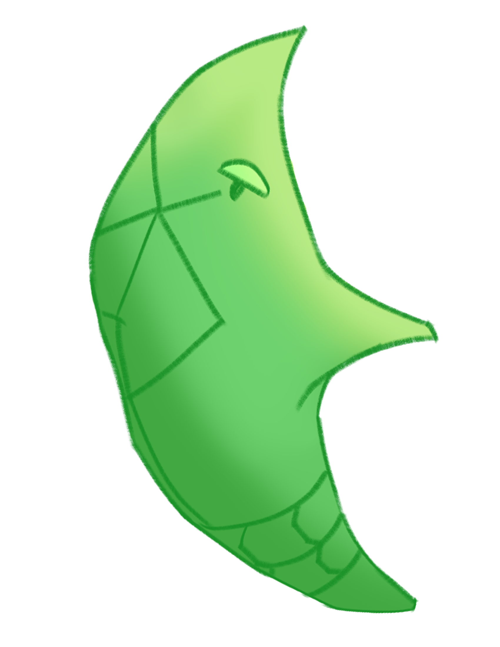 Metapod
