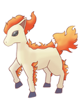 Ponyta