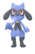 Riolu
