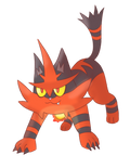 Torracat