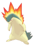 Typhlosion