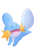 Mudkip Run
