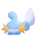 Mudkip Sleep